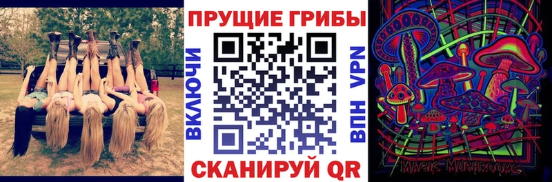 закладка  Сысерть  Псилоцибиновые грибы мицелий 